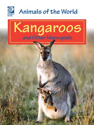 cover image of Kangaroos and Other Marsupials